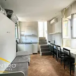 Rent 1 bedroom house of 45 m² in Rome