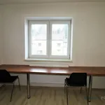 Rent 1 bedroom apartment in Brno