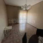 Rent 5 bedroom apartment of 120 m² in Forlì