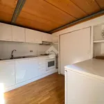 Rent 1 bedroom apartment of 45 m² in Rome