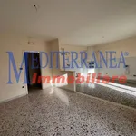 Rent 4 bedroom apartment of 100 m² in Terlizzi