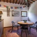 Rent 1 bedroom apartment of 70 m² in florence