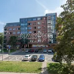 Rent 1 bedroom apartment of 28 m² in Ostrava