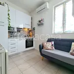 Rent 1 bedroom apartment of 29 m² in Pavia