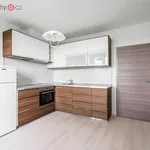 Pronajměte si 2 ložnic/e byt o rozloze 36 m² v Plzeň