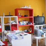 Rent 4 bedroom apartment of 80 m² in Padova