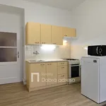 Rent 1 bedroom apartment of 45 m² in Prague