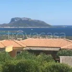 Affitto 4 camera casa di 80 m² in Golfo Aranci