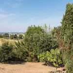 Rent 2 bedroom apartment of 90 m² in Bertinoro