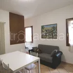 Rent 2 bedroom apartment of 45 m² in Longare