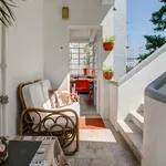 Rent 6 bedroom apartment in Lisbon