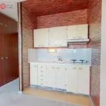 Rent 1 bedroom apartment of 29 m² in Poruba