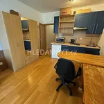 Rent 1 bedroom apartment of 30 m² in Capital City of Prague