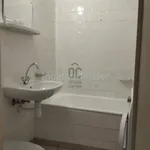 Rent 1 bedroom apartment in Szeged