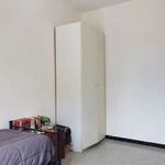 Rent a room in Roma