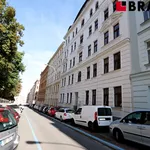 Rent 2 bedroom apartment of 65 m² in Brno