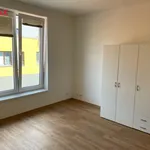 Pronajměte si 1 ložnic/e byt o rozloze 26 m² v kosire