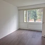 Vuokraa 3 makuuhuoneen asunto, 75 m² paikassa Lahti