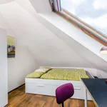 Rent a room in prague