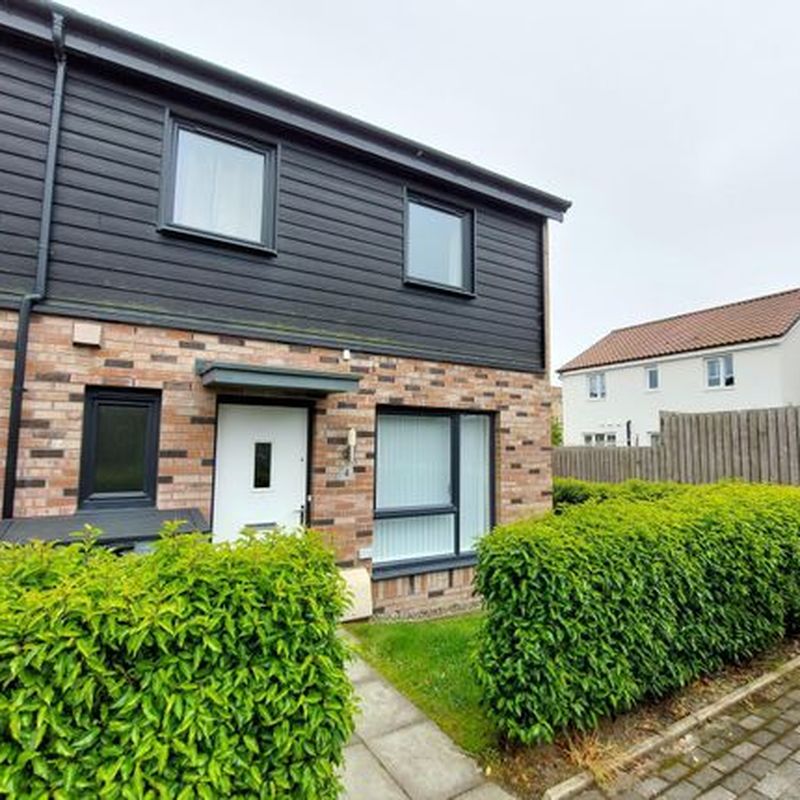 End terrace house to rent in Countesswells Park Avenue, Aberdeen AB15