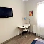 Rent a room in zaragoza