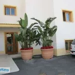 Rent 2 bedroom apartment of 73 m² in Palermo