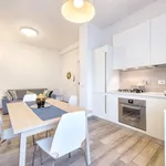 Rent 1 bedroom apartment in Florence