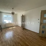 Rent 3 bedroom apartment of 100 m² in Capital City of Prague