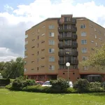 Rent 3 bedroom apartment of 86 m² in Wipstrik-Zuid