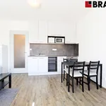 Rent 1 bedroom apartment of 28 m² in Brno