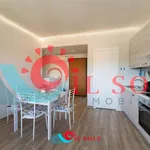 Rent 2 bedroom apartment of 70 m² in pisa