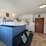 Rent 1 bedroom apartment of 36 m² in Venice