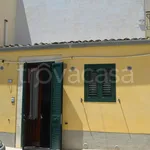 Rent 3 bedroom apartment of 80 m² in Noto