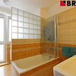 Rent 3 bedroom apartment of 67 m² in Brno