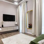 Rent 1 bedroom apartment in vilnius