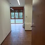 Rent 2 bedroom apartment of 55 m² in Varese