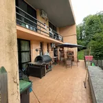 Rent 3 bedroom house of 203 m² in Ariccia