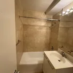 Rent 1 bedroom apartment in Manhattan