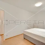 Rent 3 bedroom apartment of 111 m² in Zagreb