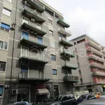 Rent 4 bedroom apartment of 110 m² in Catania