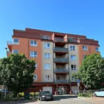 Rent 3 bedroom apartment of 77 m² in Pilsen