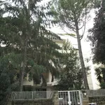 Rent 2 bedroom apartment of 60 m² in Roma