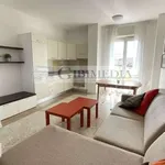 Rent 3 bedroom apartment of 81 m² in Milan