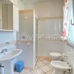 Rent 3 bedroom apartment of 76 m² in Riccione