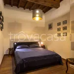 Rent 1 bedroom apartment of 40 m² in Firenze