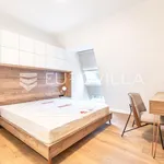 Rent 3 bedroom apartment of 130 m² in Zagreb