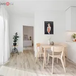 Pronajměte si 3 ložnic/e byt o rozloze 71 m² v Brno-sever