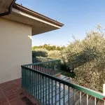 Villa in affitto a Padenghe sul Garda via Monte, 1, giardino privato, terrazzo, vista lago - TrovaCasa