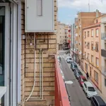 Rent a room in zaragoza