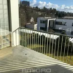 Rent 2 bedroom apartment of 50 m² in Brno